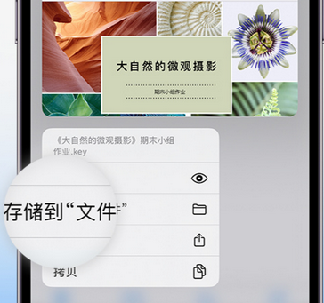 阿克苏apple维修中心分享iPhone文件应用中存储和找到下载文件