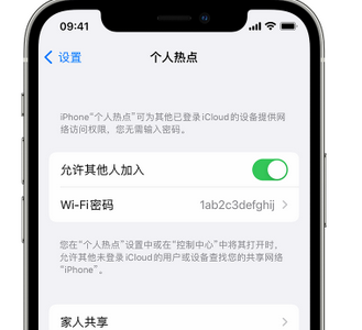 阿克苏apple服务站点分享iPhone上个人热点丢失了怎么办