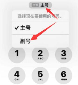 阿克苏苹果14维修店分享iPhone 14 Pro Max使用副卡打电话的方法 