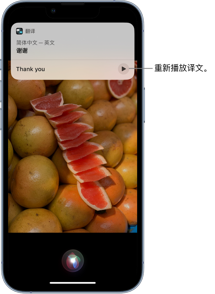 阿克苏苹果14维修分享 iPhone 14 机型中使用 Siri：了解 Siri 能帮你做什么 