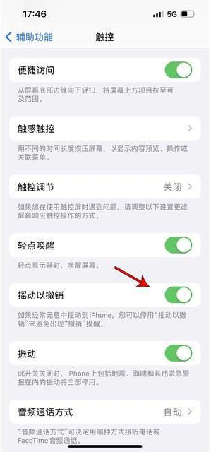 阿克苏苹果手机维修分享iPhone手机如何设置摇一摇删除文字 